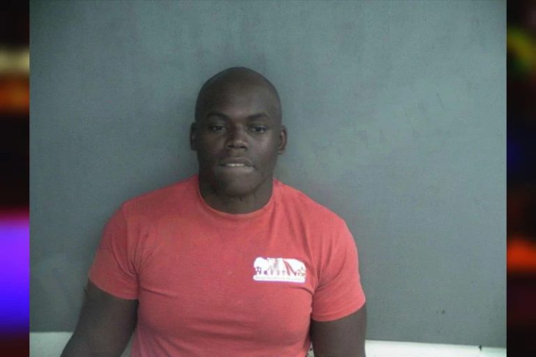 Tyvoris Folsom mugshot โ Wayne County , Georgia Tyvoris Folsom