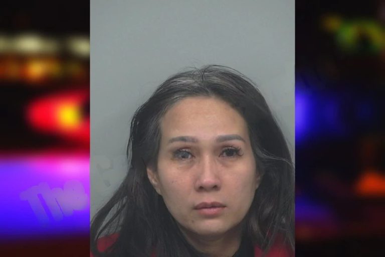Uyen Bui mugshot – Gwinnett County , Georgia Uyen Bui