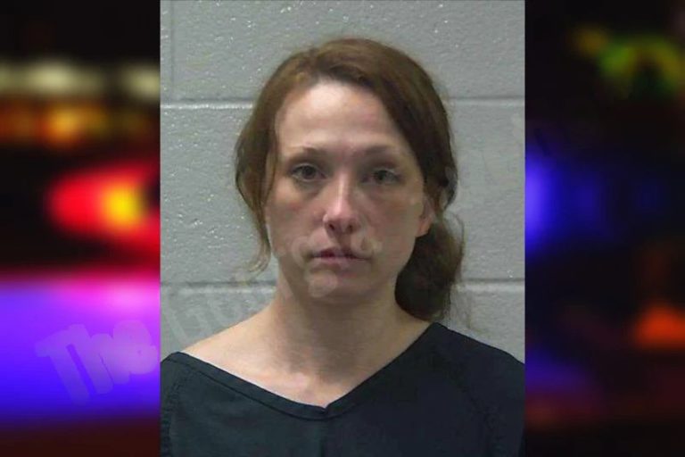 Vanessa Fowler mugshot – Gilmer County , Georgia Vanessa Fowler