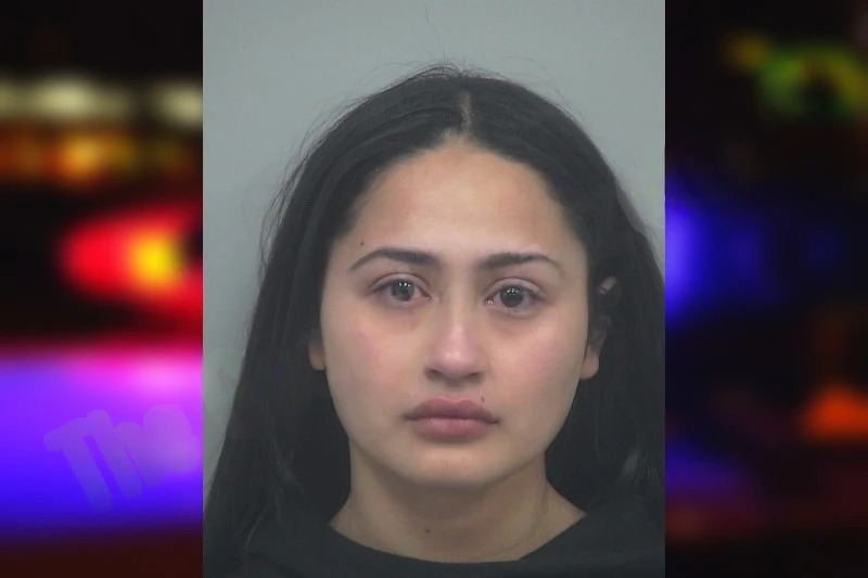 Vapci Elvir Castillo mugshot