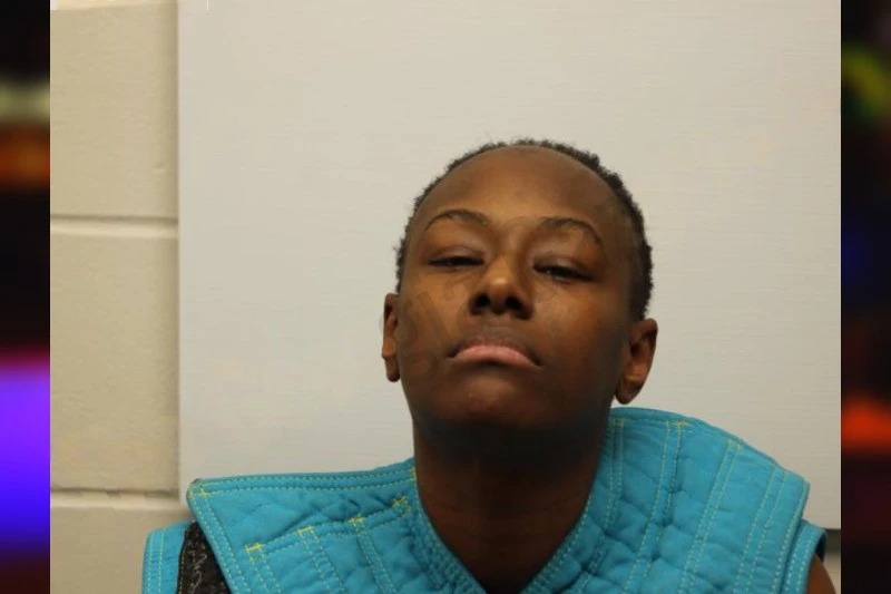 Venus McKinney Mugshots