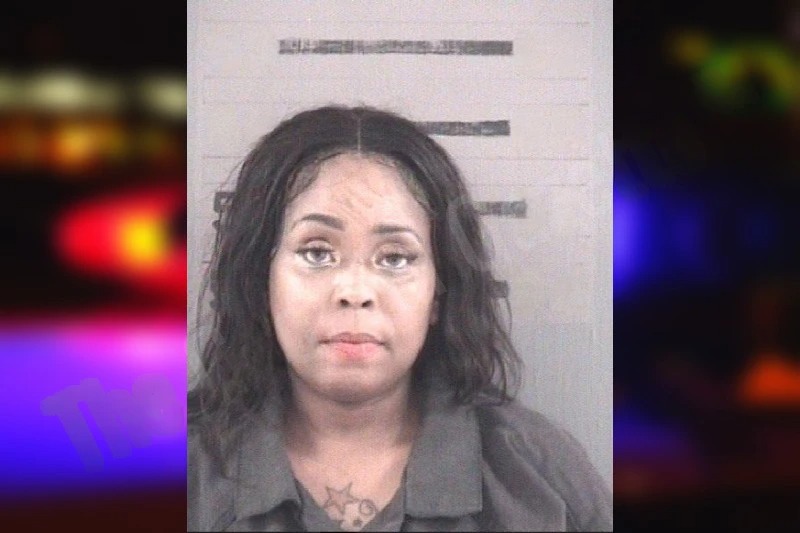 Veronica Ellerson Mugshots