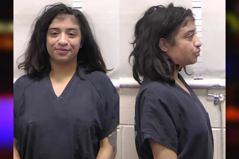 Vianey Martinez Mugshots