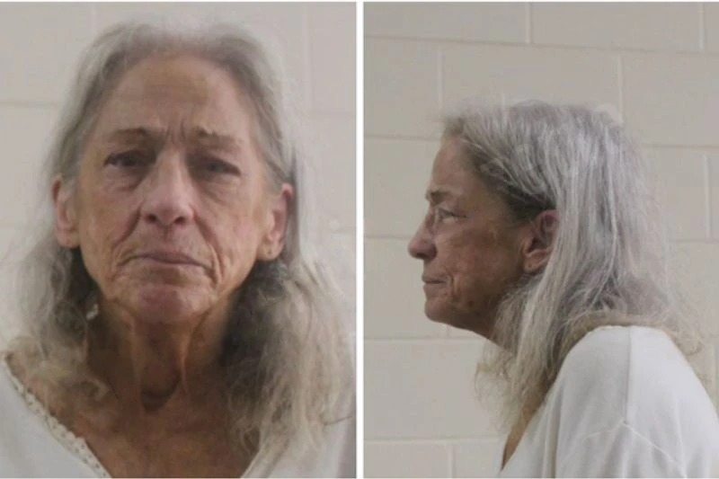 Vicki Grove Mugshots