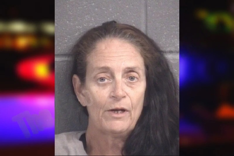 Violet Maples mugshot – Spalding County , Georgia Violet Maples mugshot