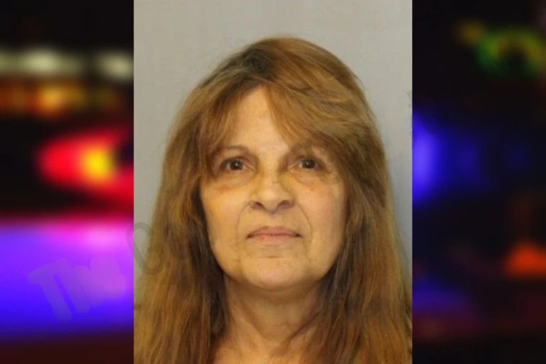 Virginia Herrell mugshot – Hall County , Georgia Virginia Herrell