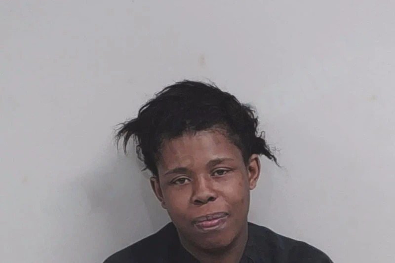 Vontessa Young Mugshots