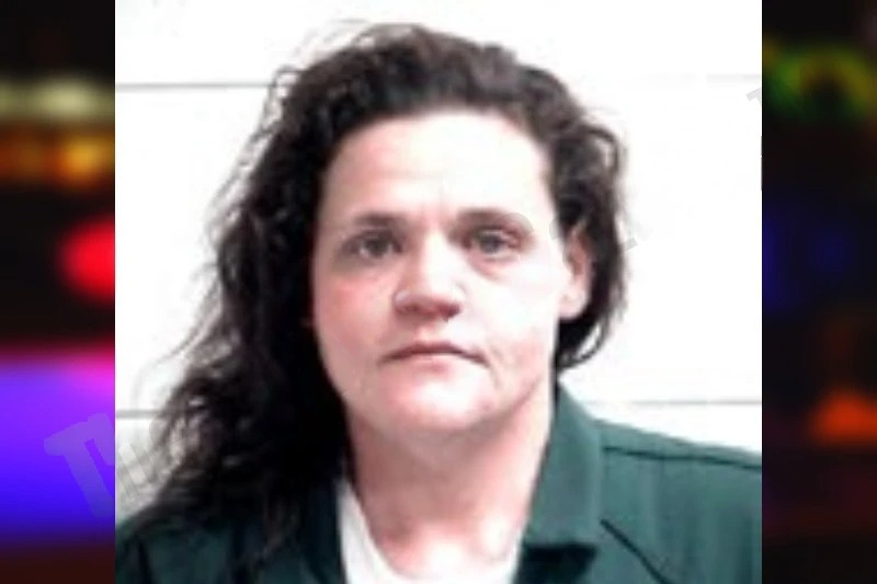 Wanda Chapman mugshot – Henry County , Georgia Wanda Chapman mugshot