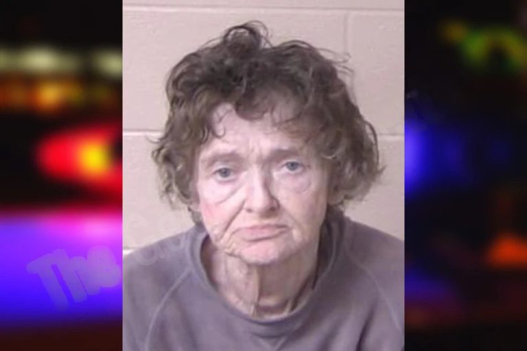 Wanda Dixon mugshot – Hall County , Georgia Wanda Dixon