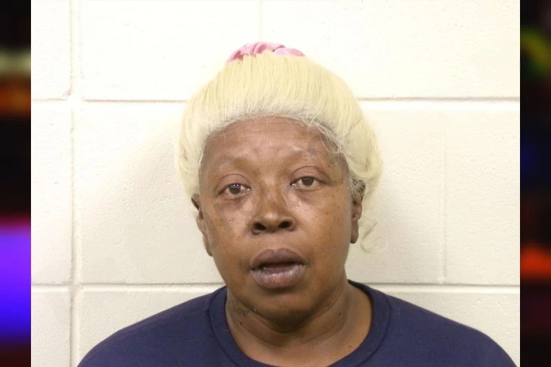 Wanda Williams Mugshots