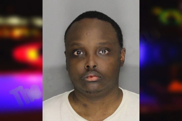 Wandu Mugweru mugshot – Cobb County , Georgia Wandu Mugweru