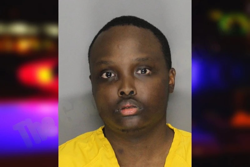 Wandu Mugweru Mugshots