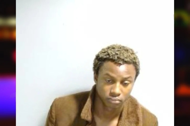 Waylann Brown mugshot – Fulton County , Georgia Waylann Brown mugshot