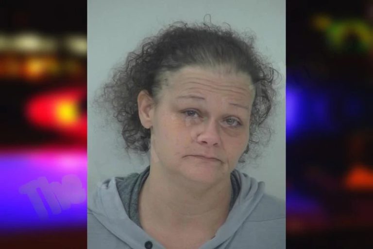 Wendy Rushing mugshot – Fayette County , Georgia Wendy Rushing