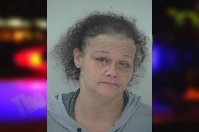 Wendy Rushing mugshot – Fayette County , Georgia Wendy Rushing mugshot