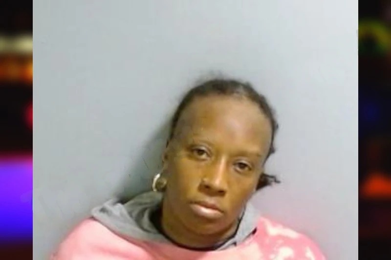 Wensday Castleberry mugshot – Fulton County , Georgia Wensday Castleberry mugshot