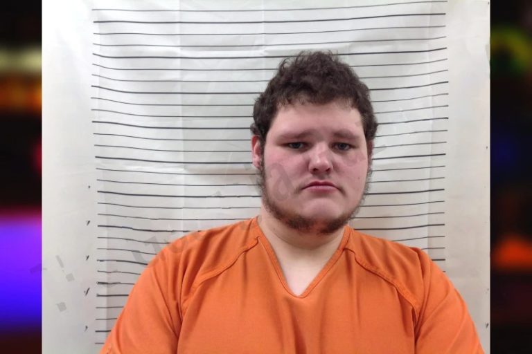 William Shealey mugshot – Pickens County , Georgia William Shealey