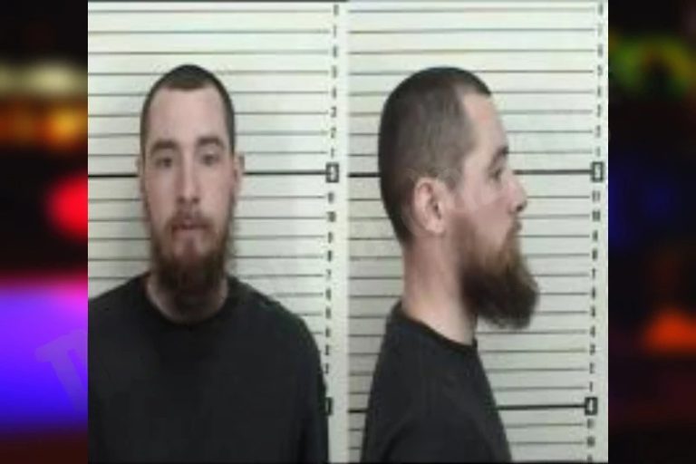 Williams Liddell mugshot – Camden County , Georgia Williams Liddell