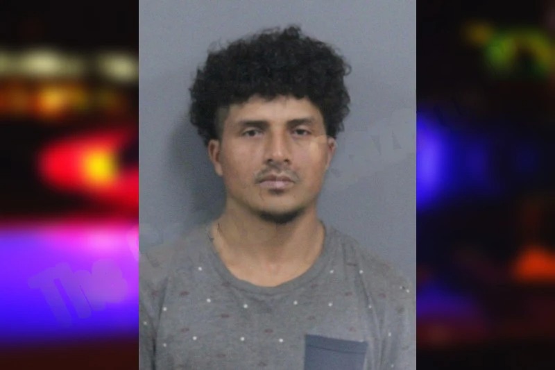 Wilmer Andrade Pineda Mugshots