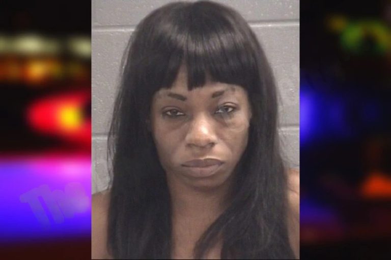 Winnie Whitner mugshot – Spalding County , Georgia Winnie Whitner