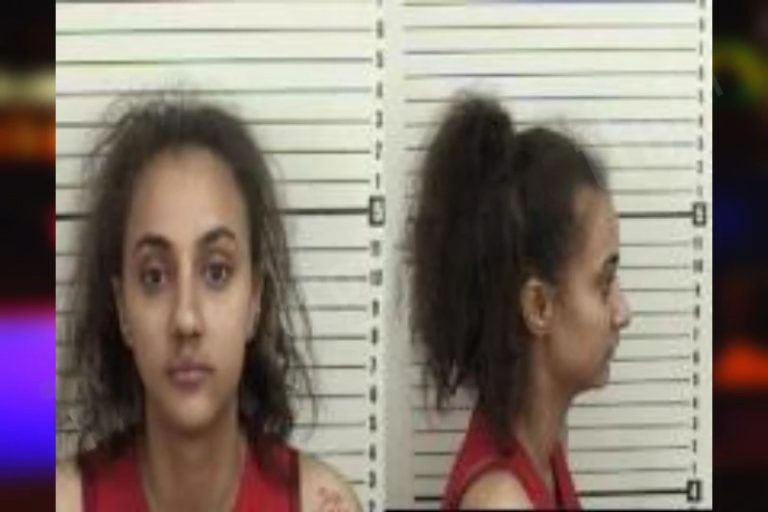 Yahaira Acevedo Marte mugshot – Dougherty County , Georgia Yahaira Acevedo Marte