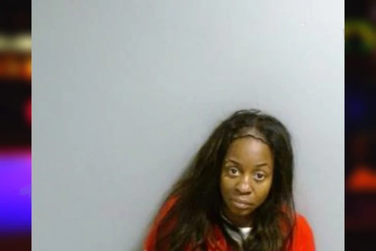 Yalonda Lowe mugshot – Fulton County , Georgia Yalonda Lowe