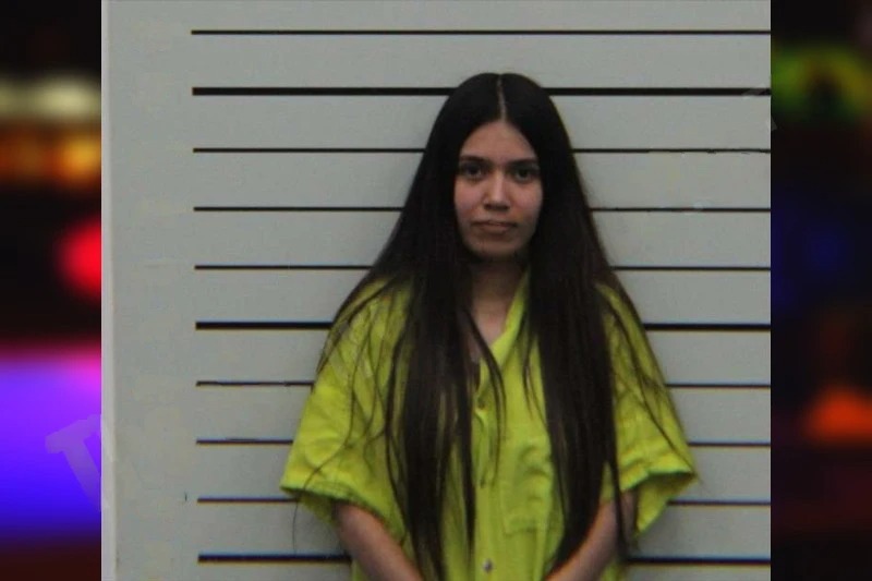 Yareli Sanchez Mugshots