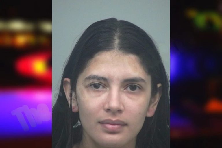 Yarleny Ekmeiro mugshot – Gwinnett County , Georgia Yarleny Ekmeiro