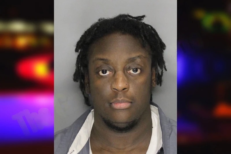 Yasmeen Stephens mugshot