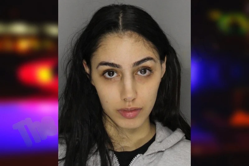 Yasmine Boulayoune mugshot