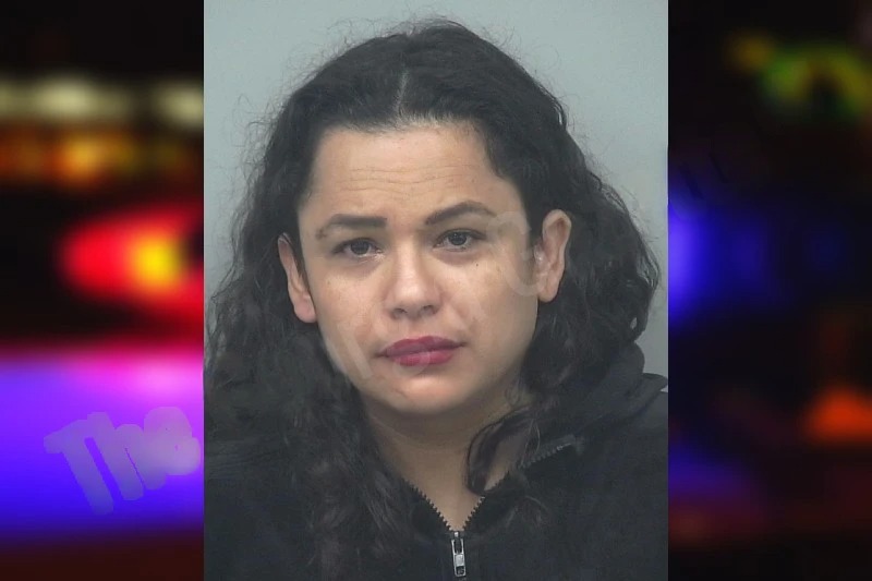 Yolanda Arellano mugshot – Gwinnett County , Georgia Yolanda Arellano mugshot