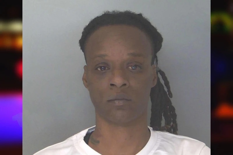 Yolanda Mobley mugshot – Douglas County , Georgia Yolanda Mobley mugshot
