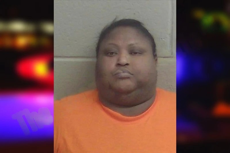 Yolanda Young mugshot – Wayne County , Georgia Yolanda Young mugshot