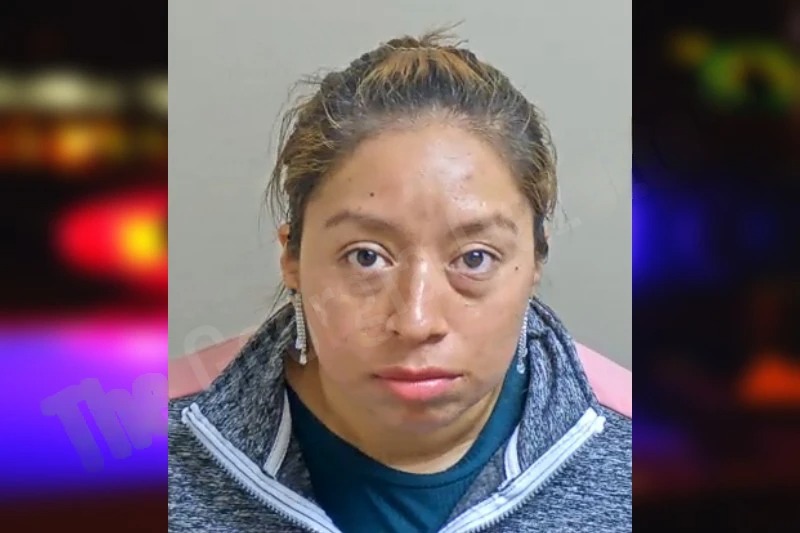 Yoselin Hilario-Tizol Mugshots