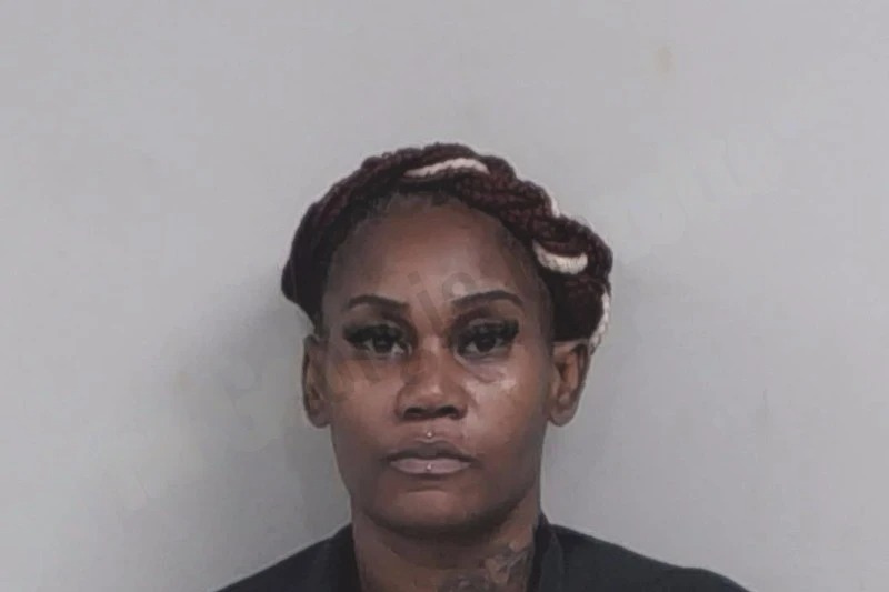 Yvonne Neal Mugshots