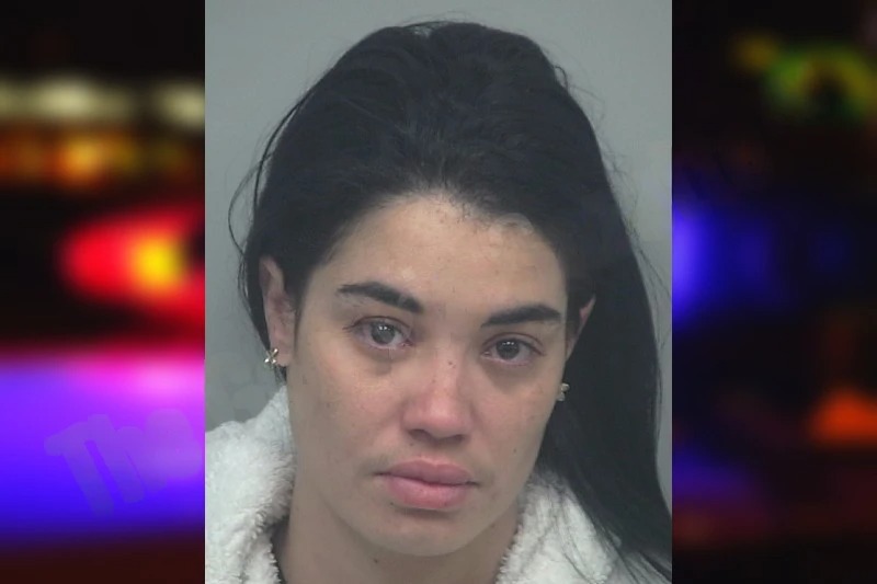 Zayide Barrio Cordero mugshot – Gwinnett County , Georgia Zayide Barrio Cordero mugshot