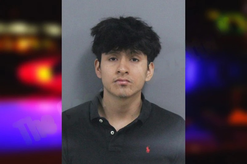 Adelson Mejia-Perez mugshot
