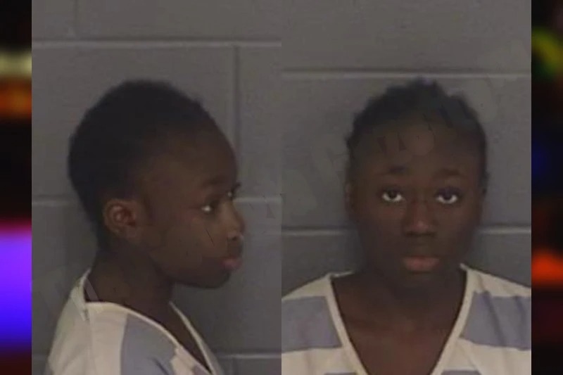 Adeola Adeyemi-Bajo Mugshots