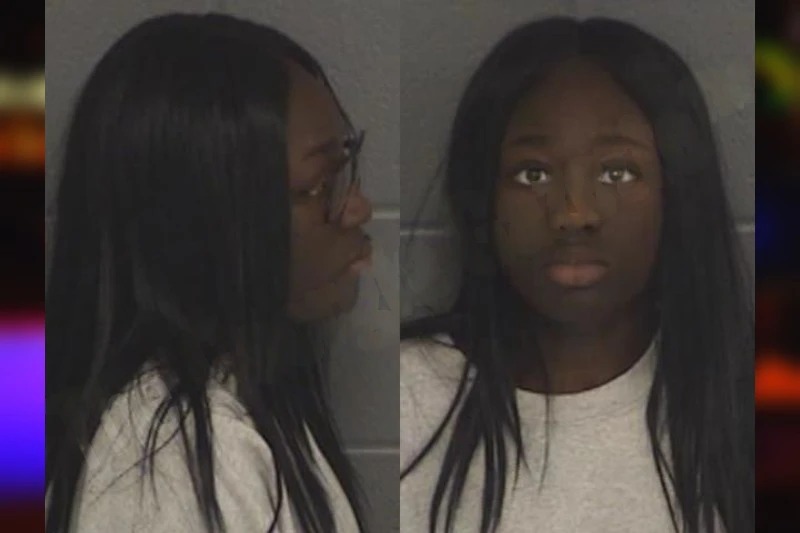 Adeola Adeyemi-Bajo Mugshots