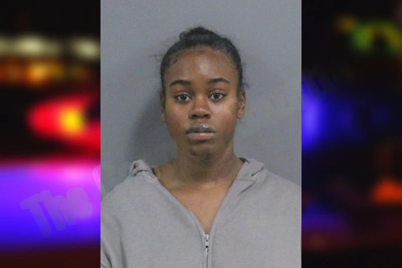 Adriana McKenzie mugshot – Catoosa County , Georgia Adriana McKenzie mugshot