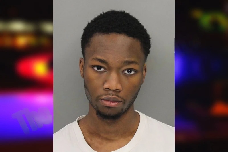 Aduragbemi Amosun mugshot