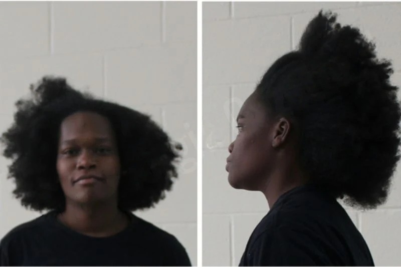 Aesha Perry Mugshots