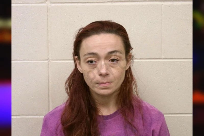 Alana McSpadden Mugshots