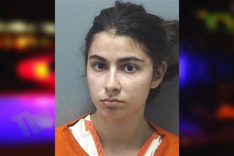 Alauna Parrish mugshot – Cherokee County , Georgia Alauna Parrish