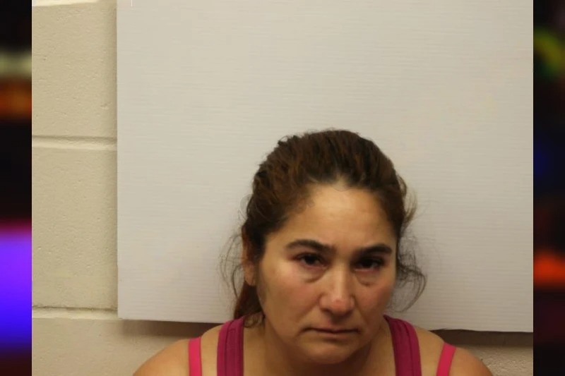 Alejandra Nava Adame mugshot