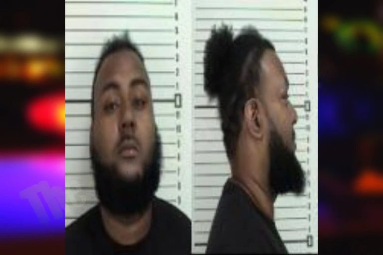 Alessandro Brown mugshot – Camden County , Georgia Alessandro Brown