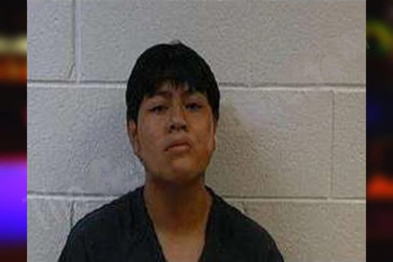 Alex Ramirez-Juarez mugshot – Polk County , Georgia Alex Ramirez-Juarez