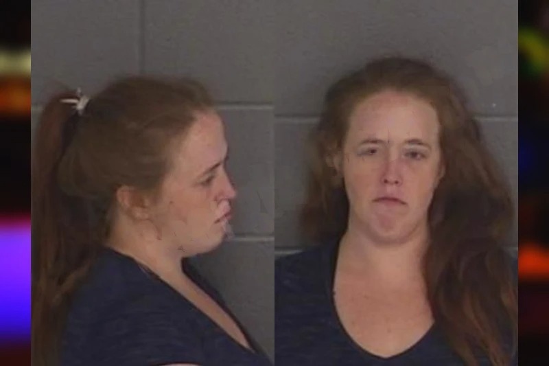 Alexandra Gee mugshot – Barrow County , Georgia Alexandra Gee mugshot