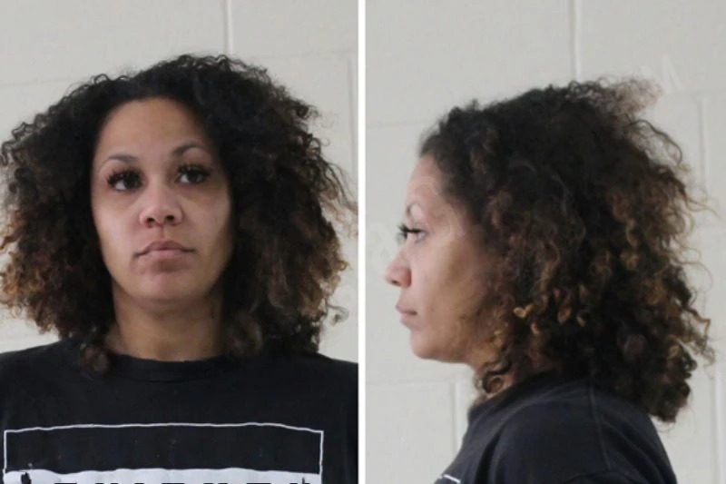 Alexandria Hill mugshot β Houston County , Georgia Alexandria Hill mugshot