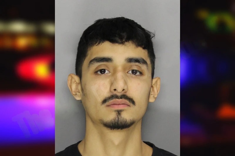 Alexis Hernandez Mugshots